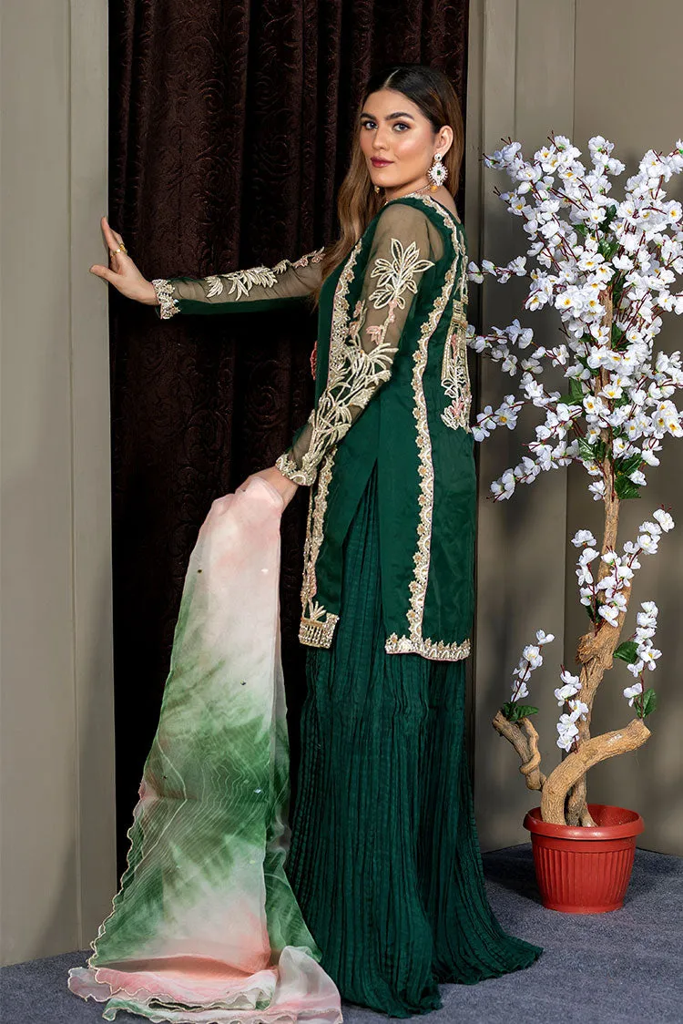 Ahmad Raza - Afsana Pret Collection - AR2061