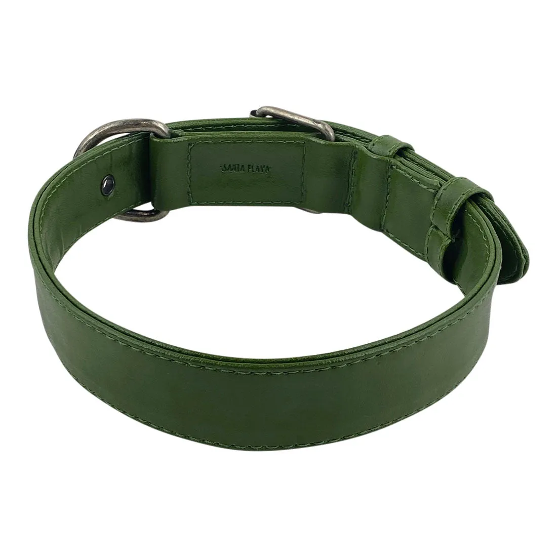 Cactus Leather Dog Collar