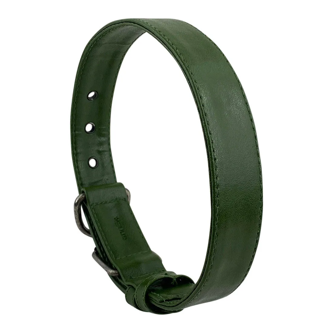 Cactus Leather Dog Collar