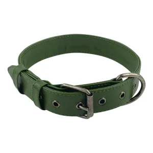 Cactus Leather Dog Collar