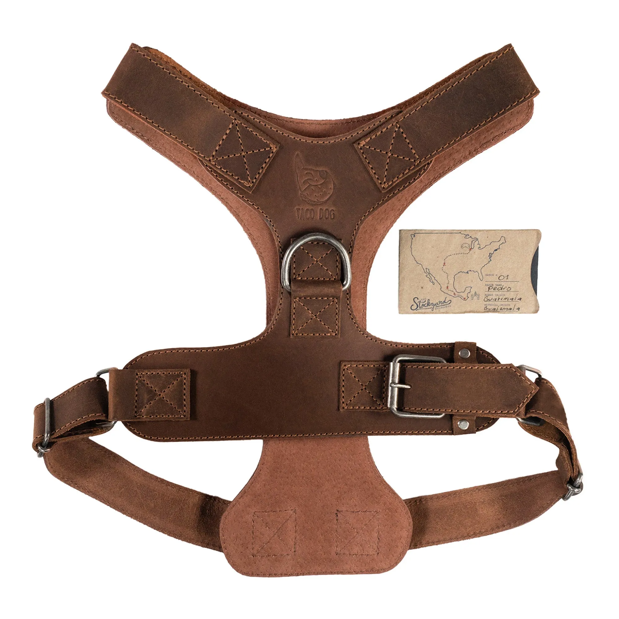 Dog Harness