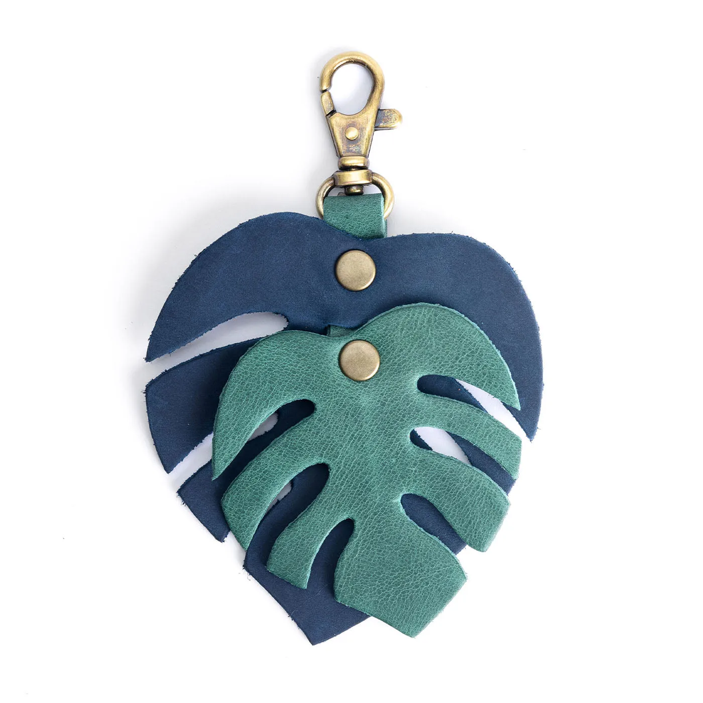 Monstera Charm