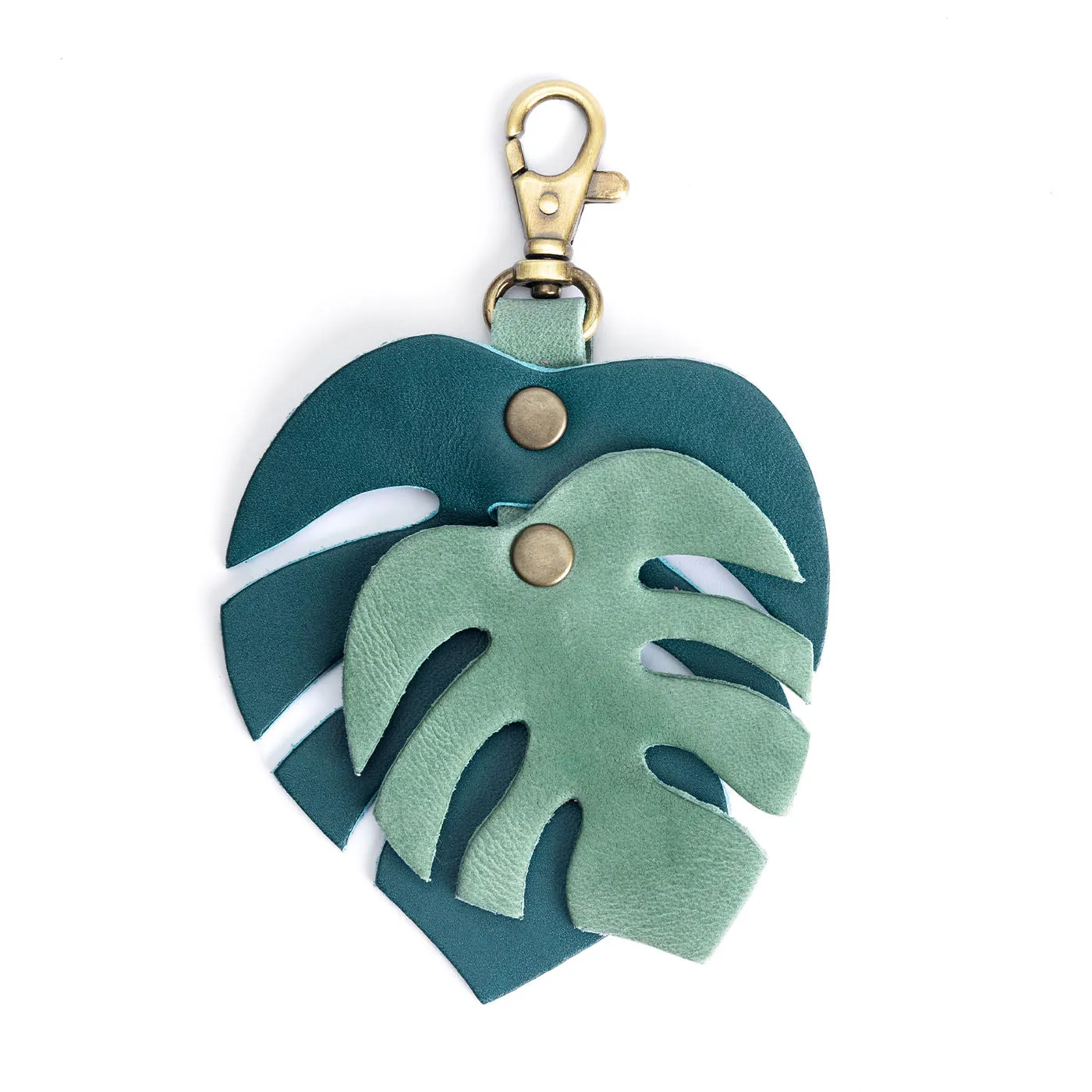 Monstera Charm