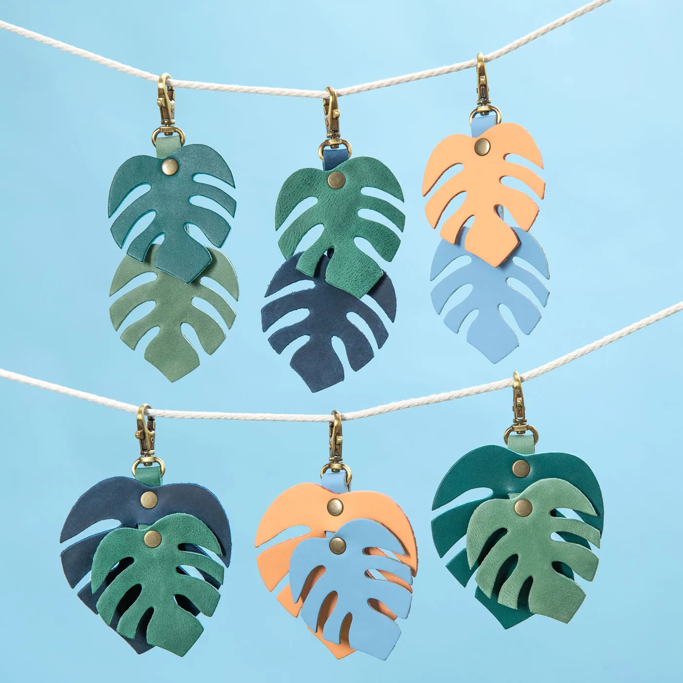 Monstera Charm