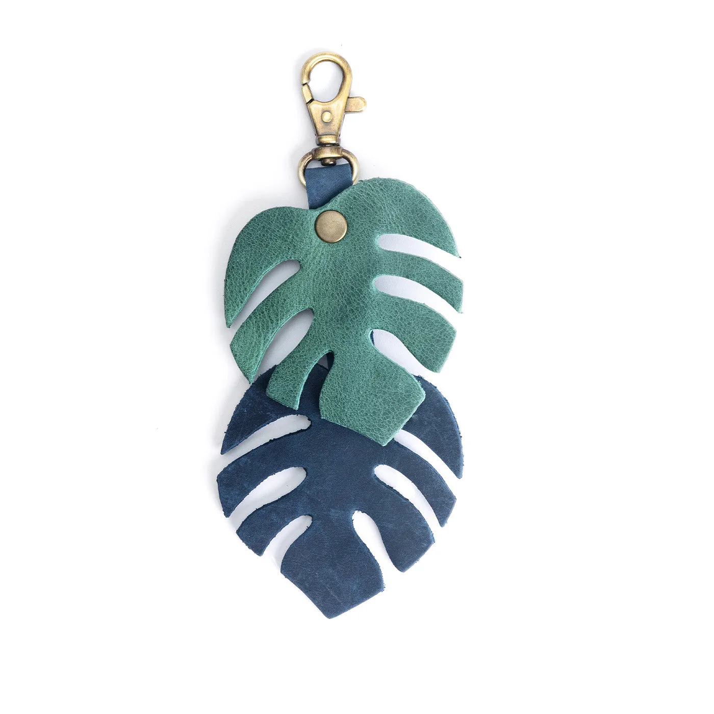 Monstera Charm