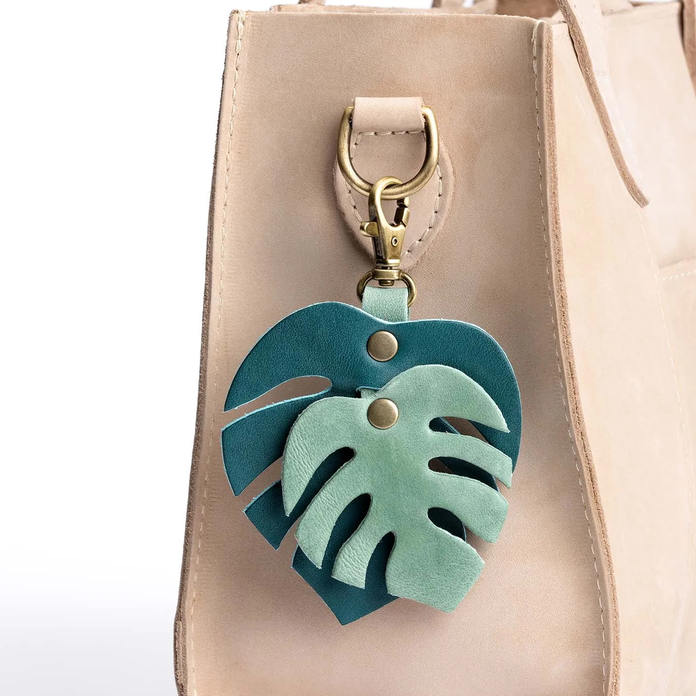 Monstera Charm