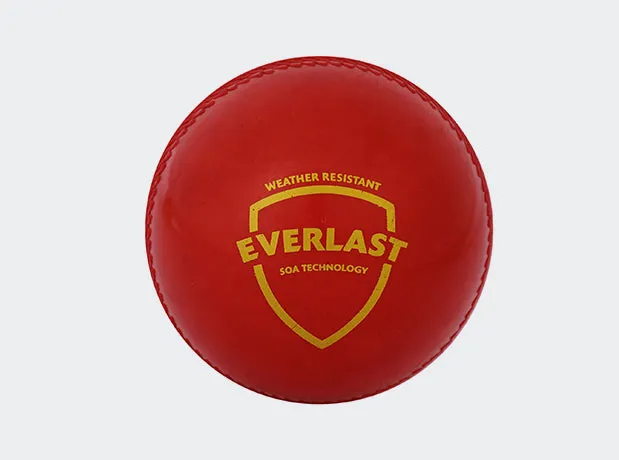 SG Everlast (Synthetic) Ball