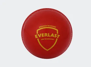 SG Everlast (Synthetic) Ball