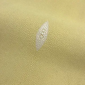 Stingray/Shagreen Genuine Skin | Bone | 11" Wide