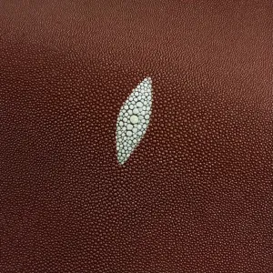 Stingray/Shagreen Genuine Skin | Peanut | 11" Wide